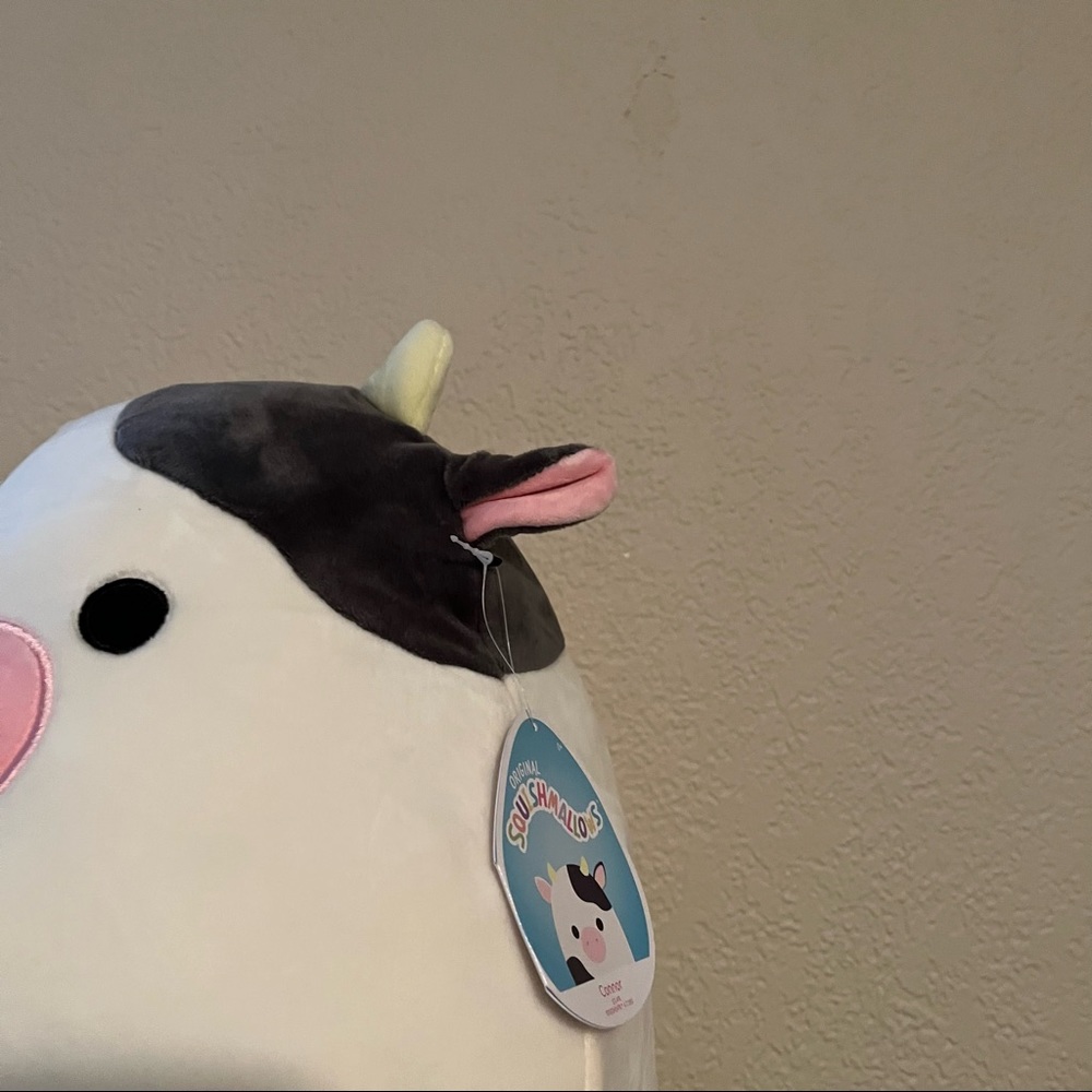 NWT 12” Connor the Cow Squishmallow - Picture 2 of 2